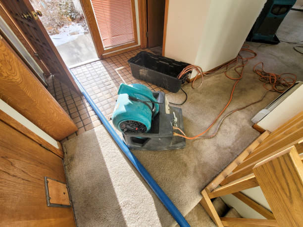 Best Fire Damage Restoration  in Dumas, AR