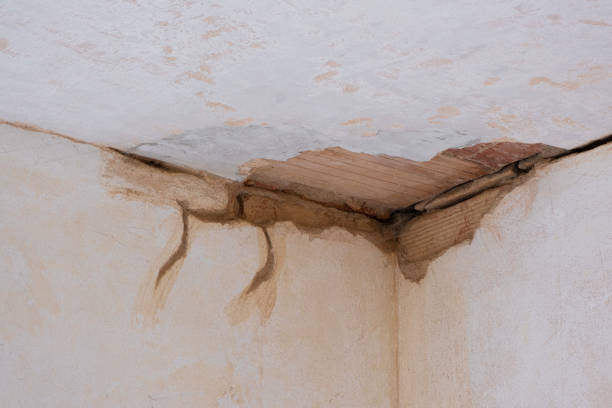 Best Professional water damage repair  in Dumas, AR