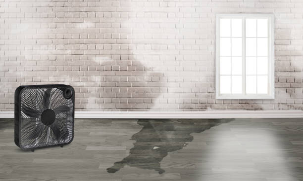 Best Water damage restoration near me  in Dumas, AR