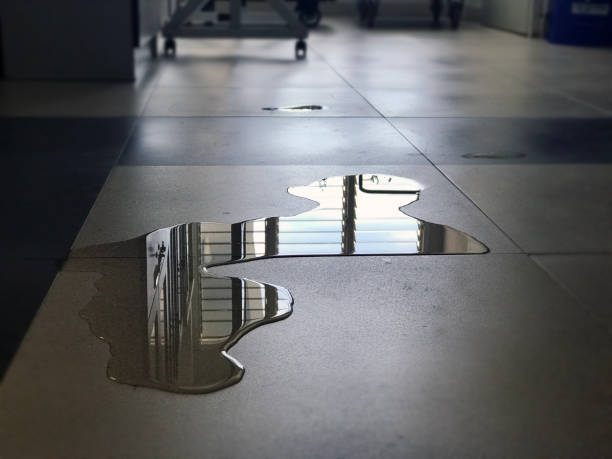 Best 24-hour water damage restoration  in Dumas, AR