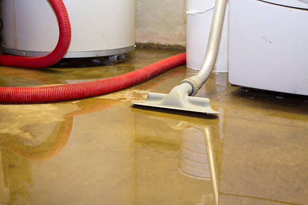 Best Flood damage cleanup  in Dumas, AR