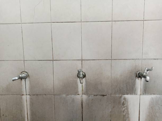 Best Flooded house restoration  in Dumas, AR