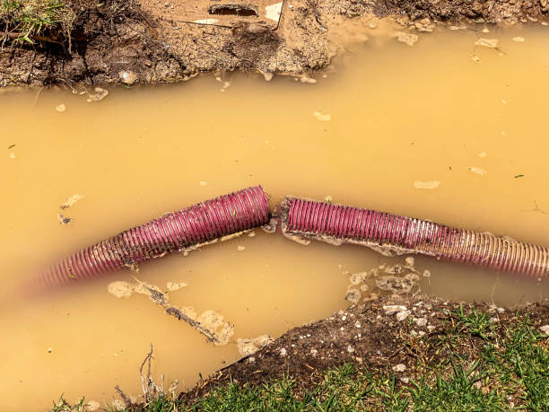 Best Water damage repair service  in Dumas, AR