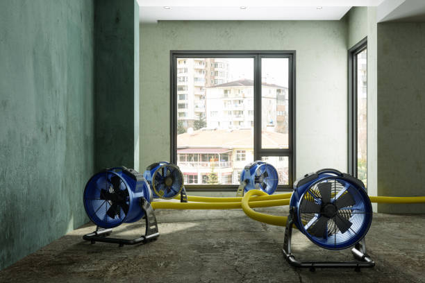 Professional Water damage restoration in AR