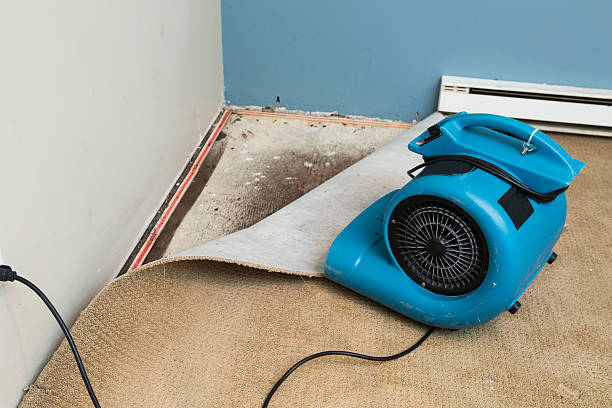 Best 24/7 water damage repair  in Dumas, AR